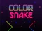 Color Snake — δωρεάν online παιχνίδι
