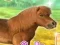 My Dear Pony — δωρεάν online παιχνίδι