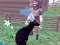 Deer Simulator 3D — δωρεάν online παιχνίδι