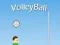 VolleyBall — δωρεάν online παιχνίδι