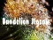 Dandelion Jigsaw — δωρεάν online παιχνίδι