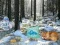 Winter Wonderland Forest Adventure — δωρεάν online παιχνίδι