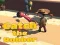 Catsh the robber — δωρεάν online παιχνίδι