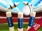 Mini Cricket: Ground Championship World Cup 2019 — δωρεάν online παιχνίδι