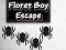 Floret Boy Escape — δωρεάν online παιχνίδι