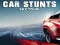 Car Stunts Sky Tour — δωρεάν online παιχνίδι