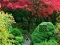 Maple Leaf Garden Escape — δωρεάν online παιχνίδι