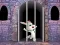 Victory Rabbit Escape — δωρεάν online παιχνίδι