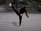Ninja Academy — δωρεάν online παιχνίδι