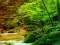 Peaceful Rainbow Forest Escape — δωρεάν online παιχνίδι