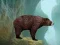 Caged Tiger Cub Escape — δωρεάν online παιχνίδι
