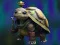 Isolated Turtle Escape — δωρεάν online παιχνίδι