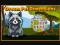 Dream Pet Dimensions — δωρεάν online παιχνίδι