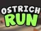 Ostrich Run — δωρεάν online παιχνίδι