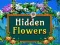 Hidden Flowers — δωρεάν online παιχνίδι
