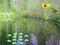 Sunlight Forest Adventure — δωρεάν online παιχνίδι