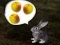 The Foggy Forest — δωρεάν online παιχνίδι