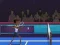 Badminton Brawl — δωρεάν online παιχνίδι
