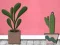 Find Houseplant — δωρεάν online παιχνίδι