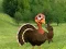 Ready To The Thanksgiving Party — δωρεάν online παιχνίδι