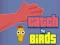 Catch the Birds — δωρεάν online παιχνίδι