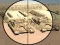 Camo Sniper — δωρεάν online παιχνίδι
