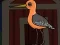 Cute Godwit Escape — δωρεάν online παιχνίδι