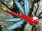 Escape From Dragonfly Forest — δωρεάν online παιχνίδι