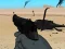 Weapon — δωρεάν online παιχνίδι