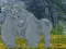 Help The Hungry Chimpanzee — δωρεάν online παιχνίδι