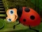 Rescue The Couple Bug — δωρεάν online παιχνίδι