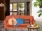 Wakeup The Grandpa — δωρεάν online παιχνίδι
