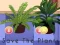 Save the Plants — δωρεάν online παιχνίδι