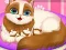 Cute Kitty Pregnant — δωρεάν online παιχνίδι
