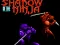 Shadow of the Ninja — δωρεάν online παιχνίδι