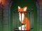 Fox in the Forgotten Ruins — δωρεάν online παιχνίδι