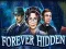 Forever Hidden — δωρεάν online παιχνίδι