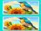 Spot the Difference The Garden — δωρεάν online παιχνίδι