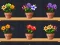 Good Flower Master — δωρεάν online παιχνίδι