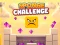Sponge Challenge — δωρεάν online παιχνίδι