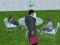 Millionaire Simulator 2024 — δωρεάν online παιχνίδι