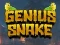 Genius Snake — δωρεάν online παιχνίδι