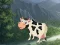 Cow Reach the Shed — δωρεάν online παιχνίδι