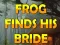 Frog Finds His Bride — δωρεάν online παιχνίδι