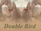 Double Bird — δωρεάν online παιχνίδι
