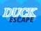 Duck Escape — δωρεάν online παιχνίδι