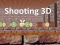 Shooting 3D — δωρεάν online παιχνίδι