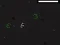 Bad Timing — δωρεάν online παιχνίδι