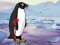 Heal the Wounded Penguin — δωρεάν online παιχνίδι