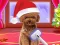 Christmas ASMR Makerover Salon — δωρεάν online παιχνίδι